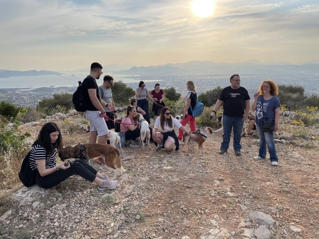 ImpactTrip 