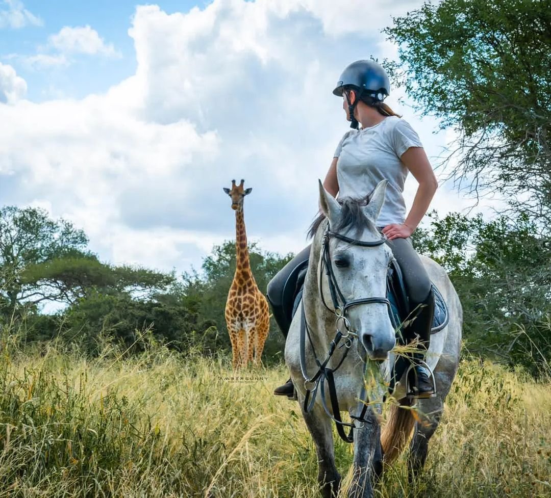 AfricanDreamHorseSafari	