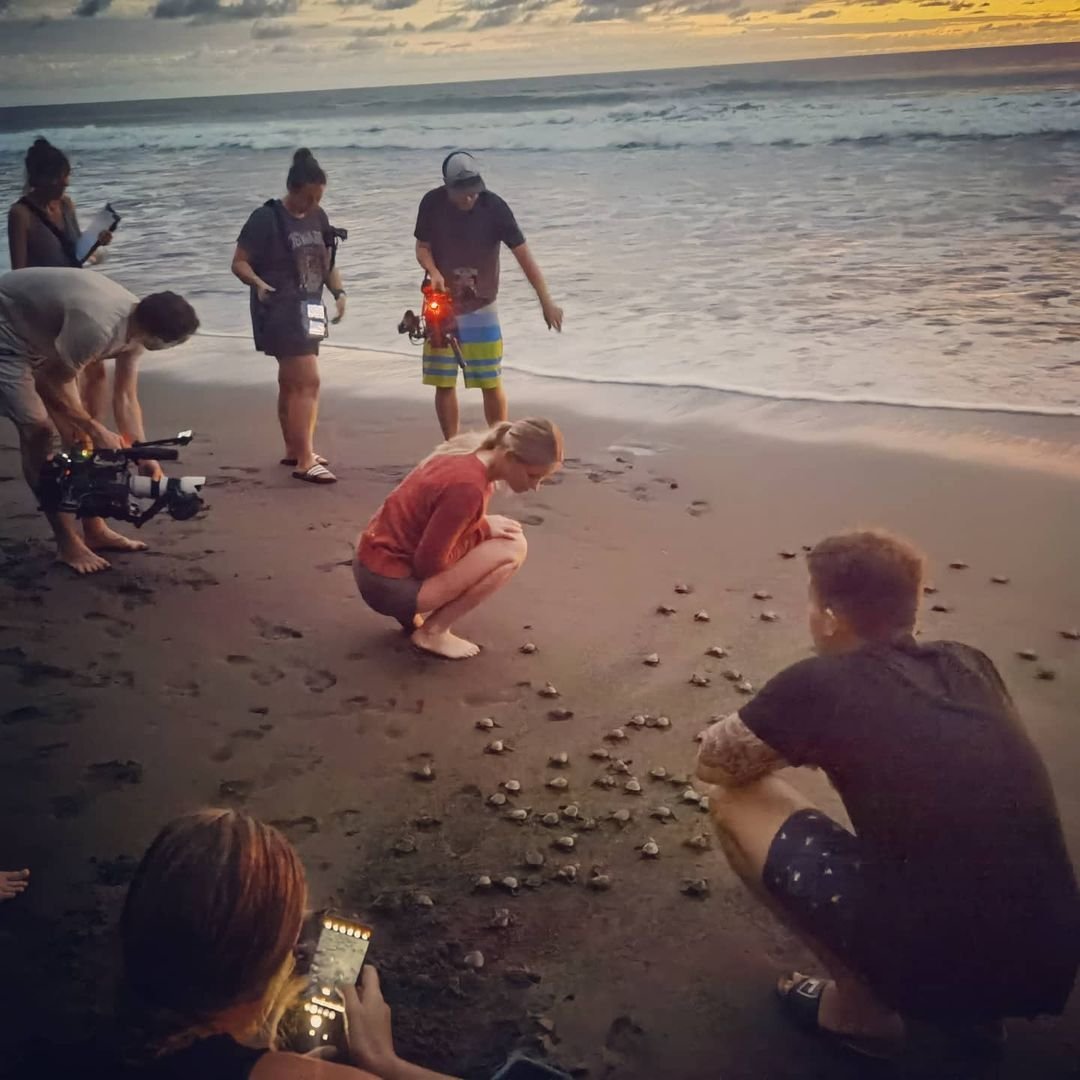  Tortugas de Pacuare