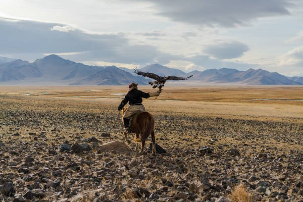 Eagles