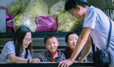 Child Volunteering