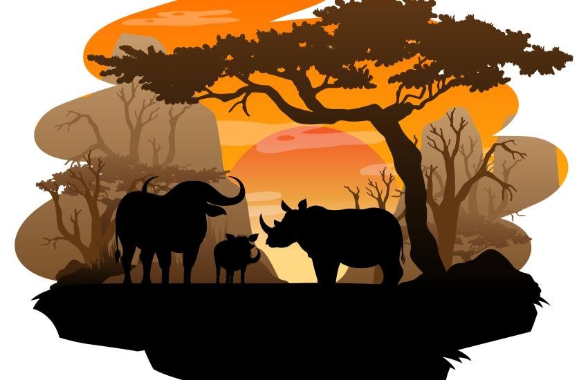 Exploring Wildlife Conservation in Africa A Journey of Conservation and Adventure