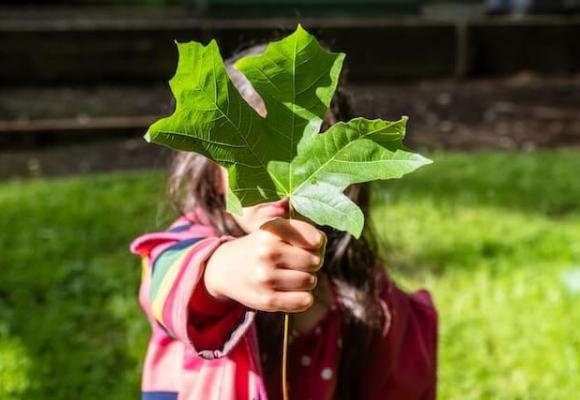 Volunteer for Environmental Protection & Conservation in Ghana (OGVOGhana)