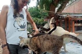 AnimalCare_Spain