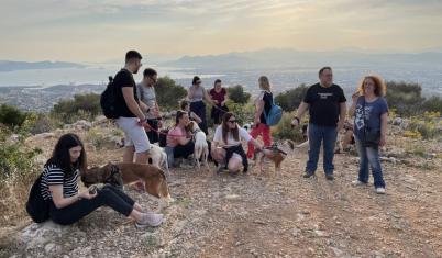 ImpactTrip 