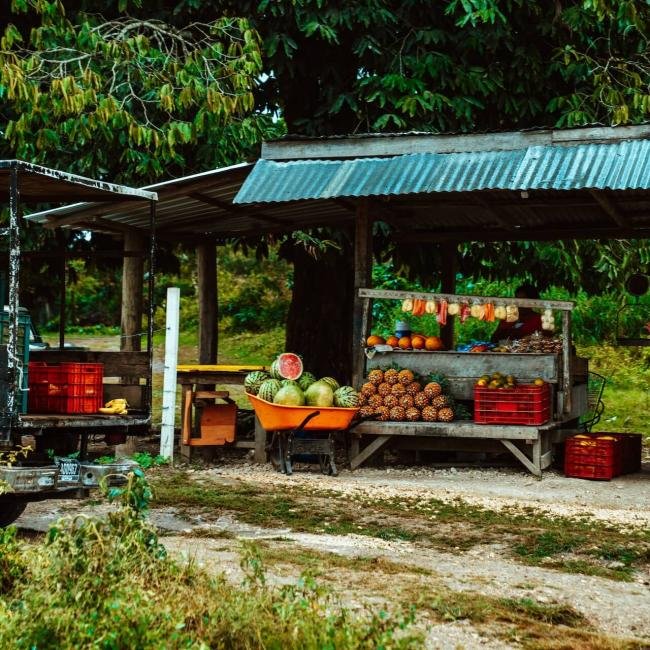 Volunteer in Belize Programs