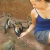 Volunteer for Wildlife in Ghana - OGVO Ghana