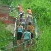 Volunteer for Wildlife in Ghana - OGVO Ghana