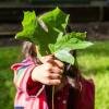 Volunteer for Environmental Protection & Conservation in Ghana (OGVOGhana)