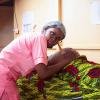 Midwifery Intern in Ghana by OGVO