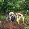 Team Work on the Farm