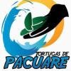 Profile picture for user tortugasdepacuare