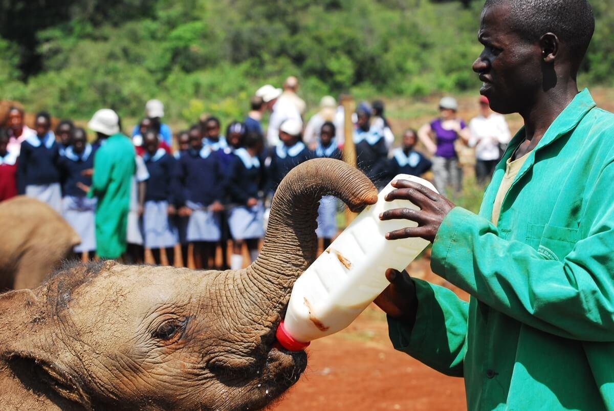 An Inside look at different types of volunteer work